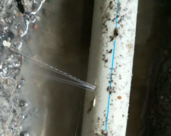 渝北卫生间测漏水多少钱