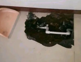 渝北卫生间测漏水多少钱